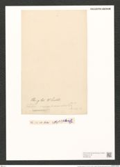 Pleurosigma strigile W.Sm. (de-Toni-Nr.: Genus 13, Species 1082) Zeichnungen Sammlung Grunow (NHMW-BOT-W0369128)